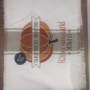 NWT DII Fall Place Mats (Set of 4)